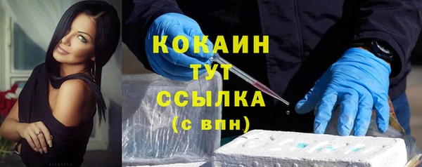 твердый Заводоуковск