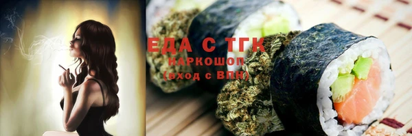 твердый Заводоуковск