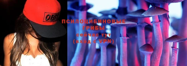 ALPHA PVP Заволжск