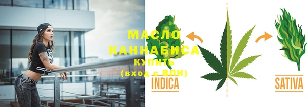 твердый Заводоуковск
