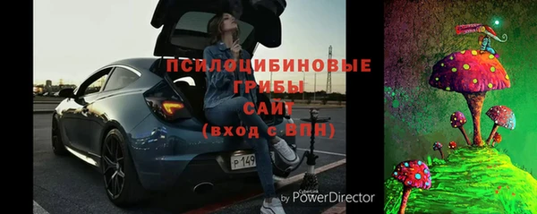 твердый Заводоуковск